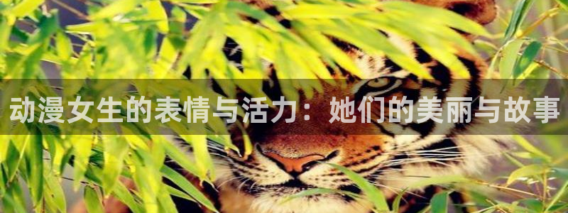 亚洲欧美日韩动漫精品：动漫女生的表情与活力：她们的美丽与故事