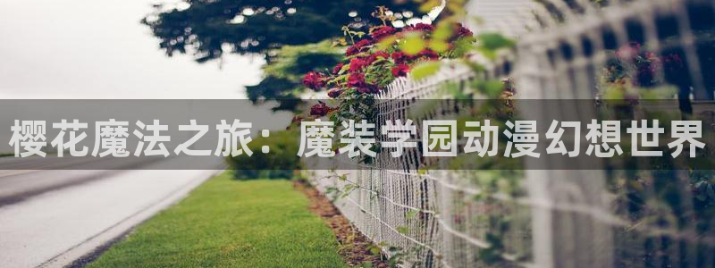 欧美日韩动漫国产在线